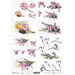 ITD Reispapier Decoupage Bastelpapier Softpapier Serviettentechnik, kwiaty tulipany R2194