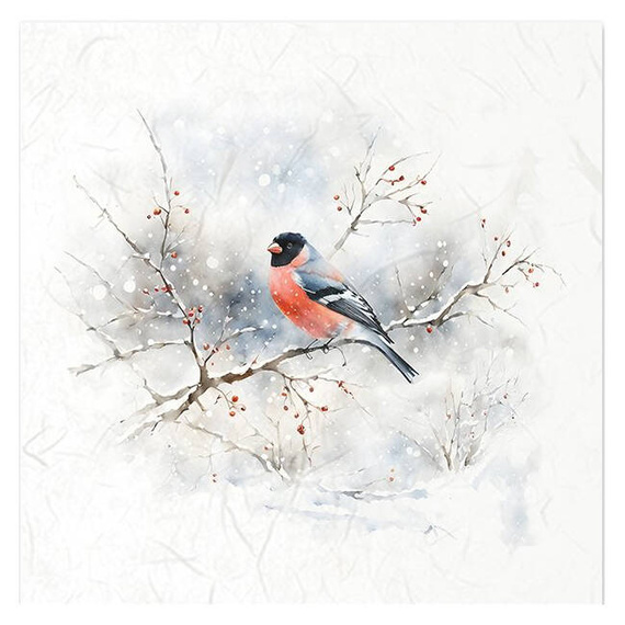 Scrapbooking-Bastelpapier-Set reisfelder - ITD - RSM147 Vögel, Kardinal, Trottellumme, Mistelzweig