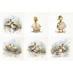 Reispapier-Set - ITD - RSM110 Enten, Entenküken