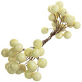 Beerenzweig - cremig - 1 Zweig mit 40 Beeren 