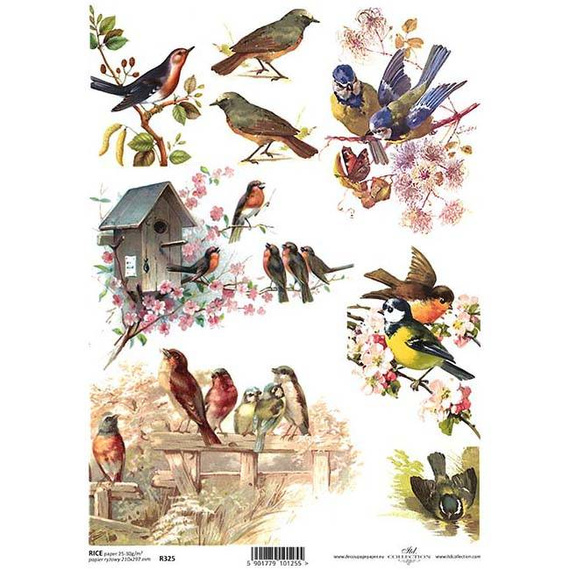 ITD Reispapier Decoupage Bastelpapier Serviettentechnik, ITD-R325 Vögel
