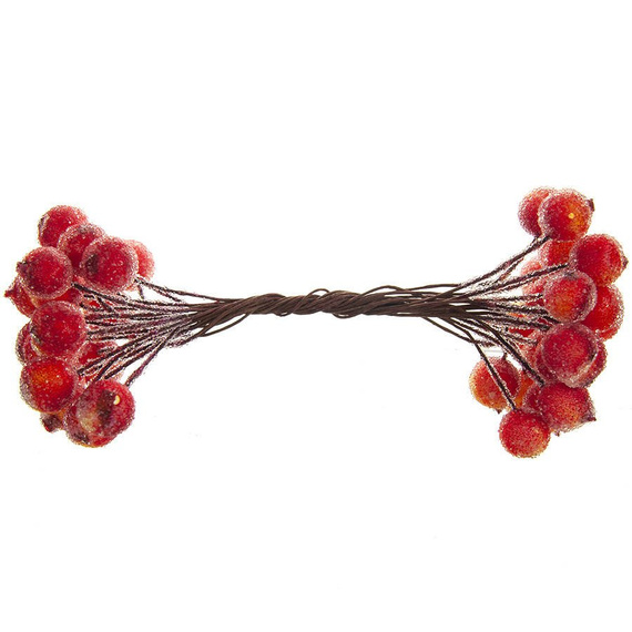 Gefrostete Beeren - rot-gelb - 1 Zweig mit 40 Beeren 