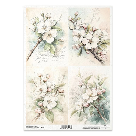 ITD Reispapier Decoupage Bastelpapier Serviettentechnik-R2587 Apfelblüten