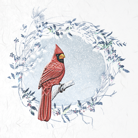 ITD - Reispapier-Set - RSM049 Vögel