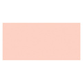 Alkoholtinte - RANGER Adirondack - Lachs