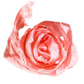 Dekorative VINTAGE Shabby Bänder - Englisch rosa 