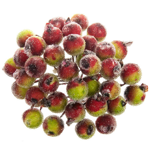 Gefrostete Beeren - rot-grüne - 1 Zweig mit 40 Beeren 