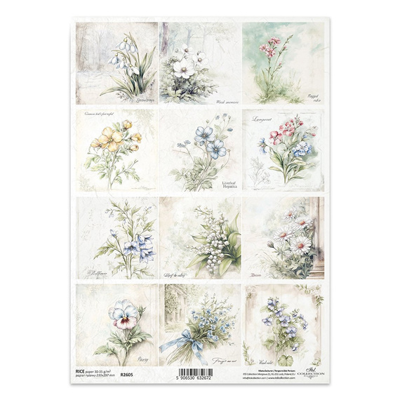 ITD Reispapier Decoupage Bastelpapier Serviettentechnik-R2605 Blumen, Schneeglöckchen, Glockenblume, Maiglöckchen, Gänseblümchen, Stiefmütterchen, Vergissmeinnicht, Veilchen