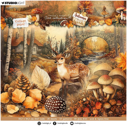 STUDIOLIGHT Scrapbooking Papier Set 20x20cm , Autumn in the Woods
