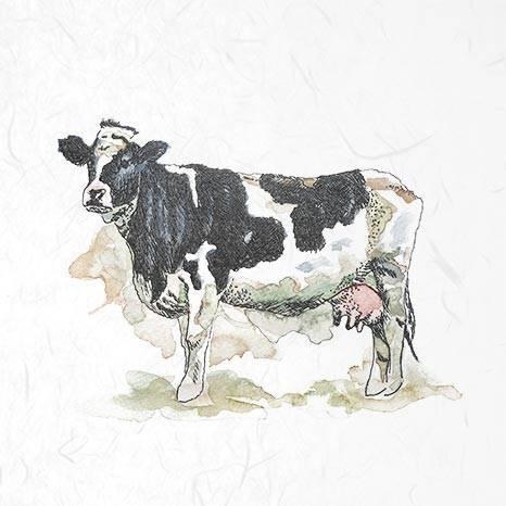 ITD - Reispapier-Set - ITD - RSM003 Nutztiere