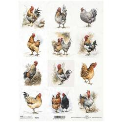 ITD Reispapier Decoupage Bastelpapier Serviettentechnik-R2346 Hühner, Hähne