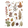 AUFKLEBER folie - Pilze, Zapfen, Blätter