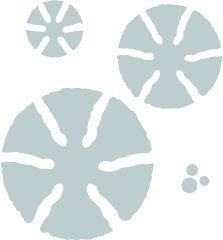 SIZZIX Bigz Stanzform Präge Stanzschablone Cutting Die, Amelia Bouquet 662554