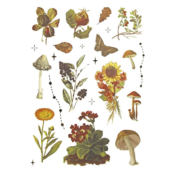 AUFKLEBER folie - Pilze, Zapfen, Blätter