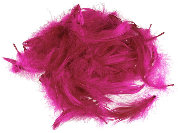 FEDERN Bastelfedern Dekofedern Feathers 10g/1-10cm, kirschfarbe