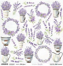 SCRAPandME 30x30cm einseitig Scrapbooking Papier 250g, Lavender Flowers