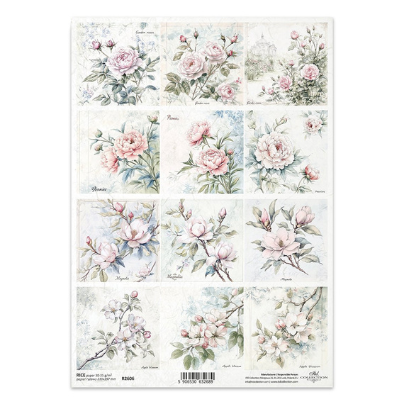 ITD Reispapier Decoupage Bastelpapier Serviettentechnik-R2606 Blumen Rosen Pfingstrosen Apfelblüten Magnolie