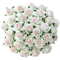 ROSEN Geöffnete 25 mm 50 Stk. Scrapbooking Maulbeerpapier Blumen Flowers, beige
