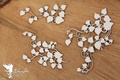 Dekorpappe Die Cut Chipboard - Verwundbar - Niederlassungen 06 - Scrapiniec