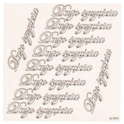 SCRAPINIEC Dekorpappe Die Cut Chipboard Dekoration Inschrift Dużo szczęścia 3662