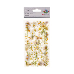 AUFKLEBER folie - Gänseblümchen