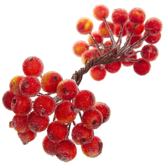 Gefrostete Beeren - rot-gelb - 1 Zweig mit 40 Beeren 