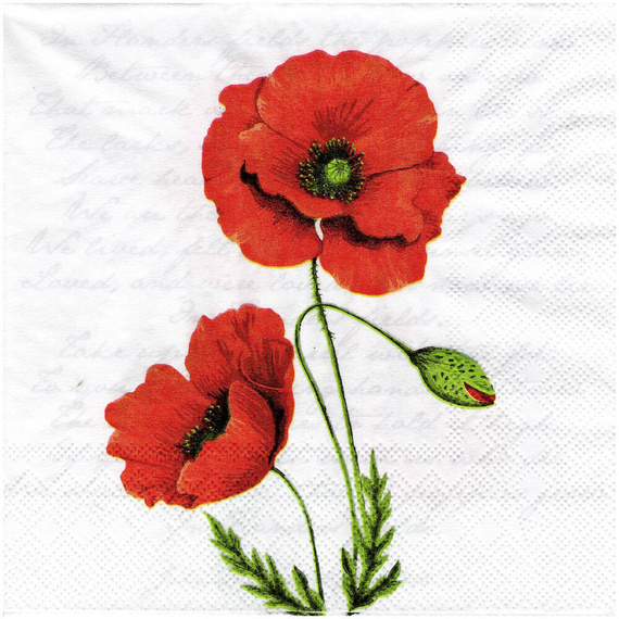 SERVIETTEN 1 Stück Motivservietten Decoupage Napkin 33x33cm, Proud poppy