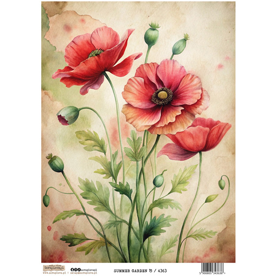 Reispapier Decoupage Bastelpapier A4 - Scraplove - Summer Garden 15