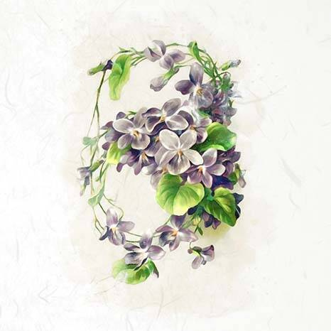 ITD Reispapier Decoupage SET Bastelpapier, Blumen, Veilchen RSM076 