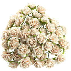 ROSEN Geöffnete 25 mm 50 Stk Scrapbooking Maulbeerpapier Blumen, hellpfirsich