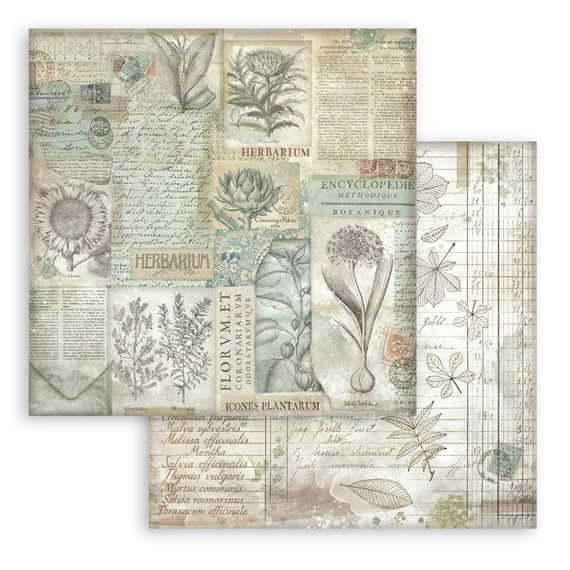 Scrapbooking Papier Set 30x30 - Herbarium Silvae Hintergründe - Stamperia