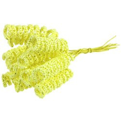 Gelbe spiralförmige Staubgefäße - 12 Stück