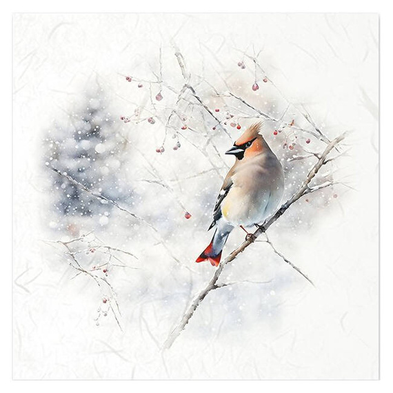 Scrapbooking-Bastelpapier-Set reisfelder - ITD - RSM147 Vögel, Kardinal, Trottellumme, Mistelzweig