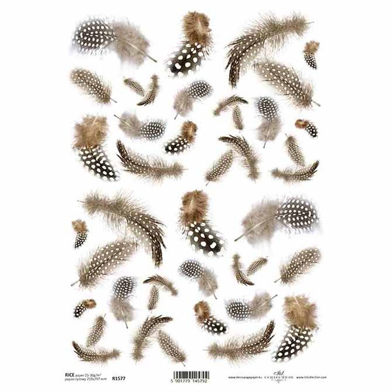 ITD Reispapier Decoupage Bastelpapier Softpapier Serviettentechnik, Gefieder R1577
