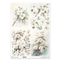Reispapier Decoupage Bastelpapier für Decoupage A3 ITD R1429L Apfelblüten