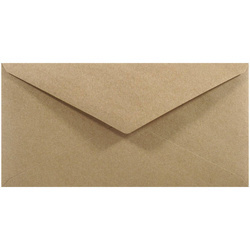 DL NK EKO Kraft delta braun Umschlag 100g