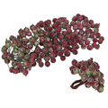 Gefrostete Beeren - rot-grüne - 1 Zweig mit 40 Beeren 