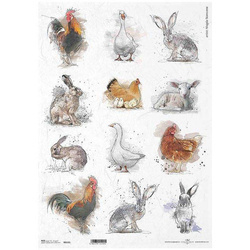 Reispapier für Decoupage A3 ITD-R532L Hahn, Henne, Hase, Ostern