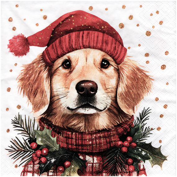 SERVIETTEN 1 Stück Motivservietten Decoupage Napkin 33x33cm, Simon