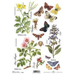 ITD Reispapier Decoupage Bastelpapier, Kräuter, Blumen, Schmetterlinge R0405