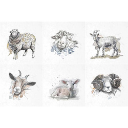 ITD - Reispapier-Set - ITD - RSM002 - Hühner, Gänse