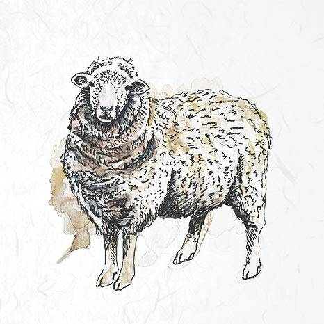 ITD - Reispapier-Set - ITD - RSM002 - Hühner, Gänse