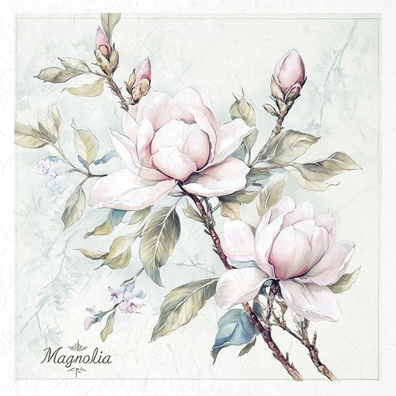 Reispapier-Set-Bastelpapier - ITD - RSM176 Blumen, Magnolie, Apfelblüten