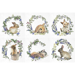 ITD - Reispapier-Set - ITD - RSM002 - Hühner, Gänse