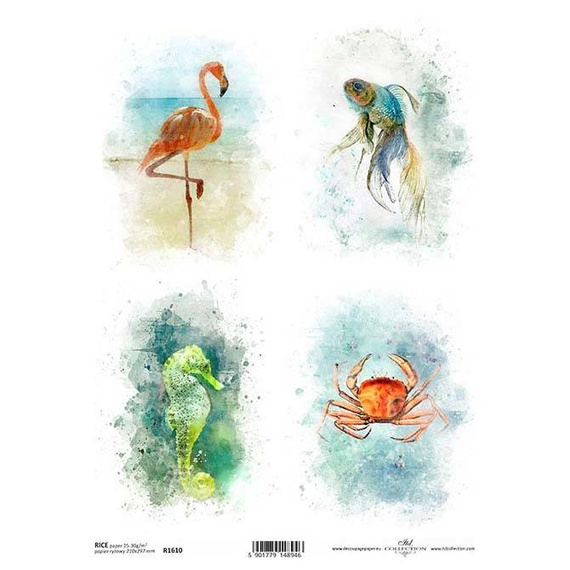 ITD Reispapier Decoupage Bastelpapier Softpapier Serviettentechnik, Meerestiere R1610