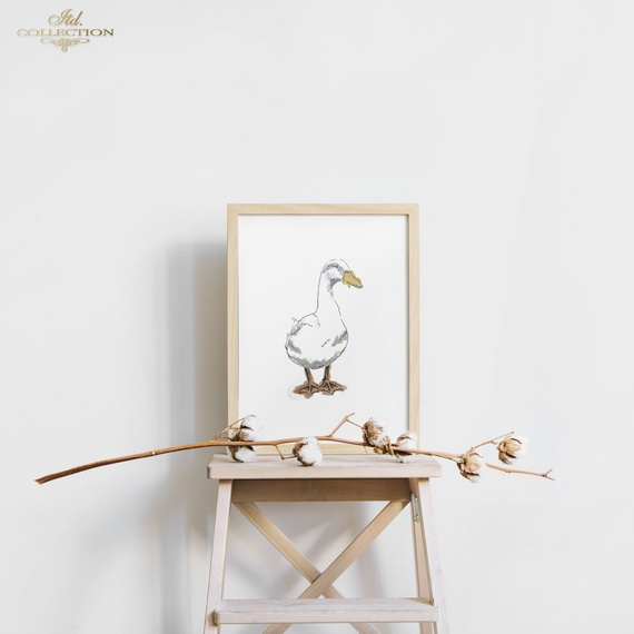 ITD Reispapier Decoupage Bastelpapier Softpapier Serviettentechnik, Gänse R1574