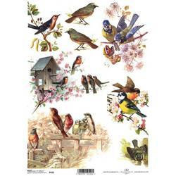ITD Reispapier Decoupage Bastelpapier Serviettentechnik, ITD-R325  Vögel