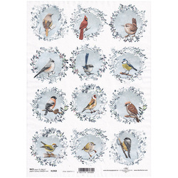 ITD Reispapier Decoupage Bastelpapier Serviettentechnik,  ITD-R1968 Wintervögel
