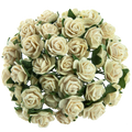 ROSEN Geöffnete 10mm 50 Stk. Scrapbooking Maulbeerpapier Blumen Flowers, beige