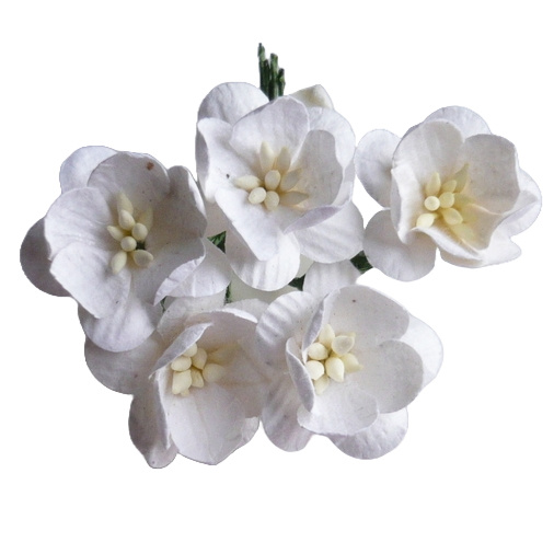 KIRSCHBLÜTEN 25mm 50Stk Scrapbooking Maulbeerpapier Blumen, weiß